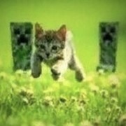 придурок из маил ру